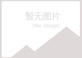 偃师雨韵服务有限公司